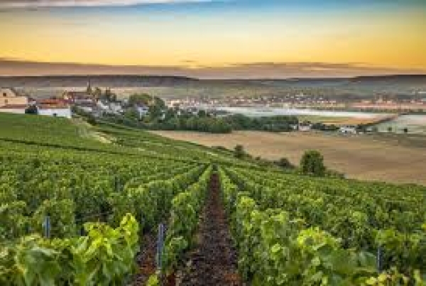 RC Arendonk Champagne verkoop 2026